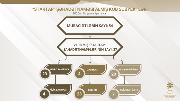 2025-ci ildə “Startap” şəhadətnaməsi almış KOB subyektlərinin əksəriyyəti mikro sahibkarlardır